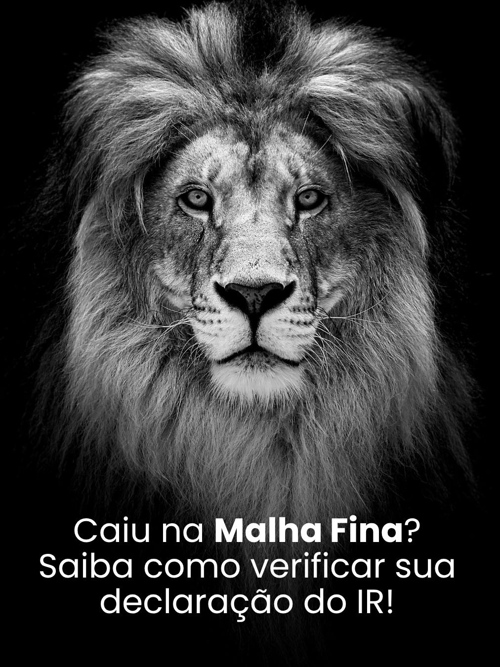 Caiu na Malha Fina? Saiba como verificar sua declaração do IR e evitar multas e problemas com a receita