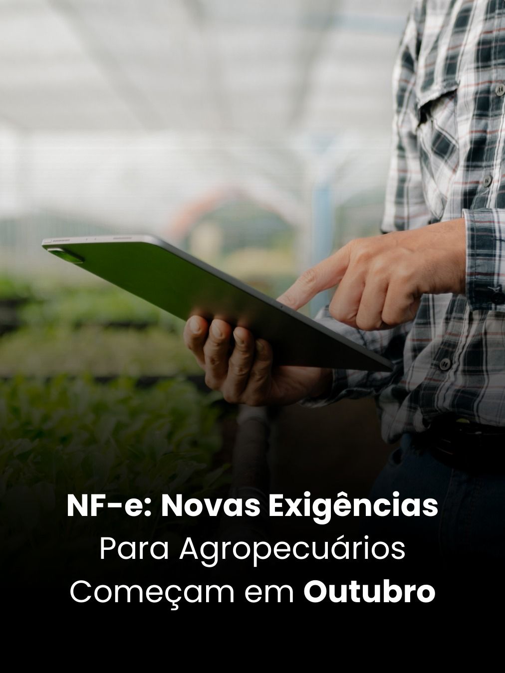 NF-e: Novas Exigências Para Agropecuários Começam em Outubro